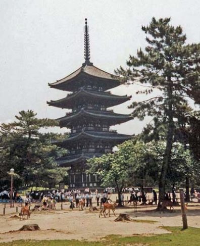 NARA: Tame deer wander in front of this pagoda in the vast park at Nara. Vendors sell small seed "cookies" to feed the deer. May 21, 1998