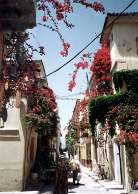 NAFPLION: Flowers exploding from the houses in Nafplion. The fine folk museum was near here.