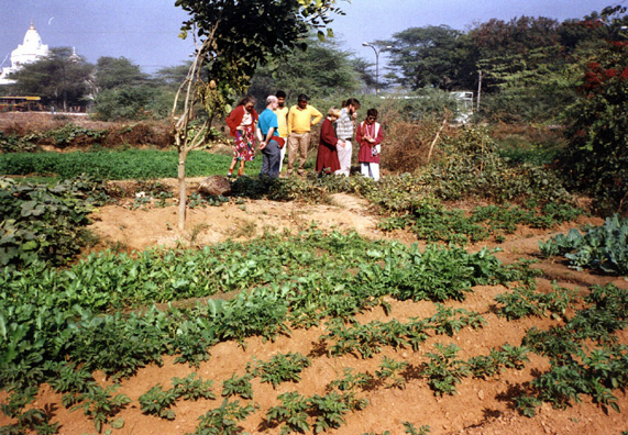 WSU tour members examine village vegetable plot.
