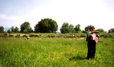 MEGALOPOLIS: Traveling through Arcadia was an unexpected thrill. Famous as the fantasyland of European nature lovers since Hellenistic times, we didn't expect it to be as genuinely beautiful as it was, with rolling fields of grass and flowers blending with varied forests. However, our bus driver pronounced it "unsafe" to stop for photographs and the Greeks sell no postcards depicting the Arcadian countryside, considering it unworthy of attention. It's regarded a bit like our Ozarks. When Paul argued with one shopkeeper that artists all over the world had depicted Arcadia, he replied "But they went to Tashkent or wherever and made it all up in their heads." True enough, but it would have been fascinating to have pictures of the reality with which we could compare the European Arcadian ideal for our students. Most of Greece has been denuded over the centuries by goats, but the less-inhabited interior of Arcadia has not made them a profitable investment, so the topsoil remains and supports rich vegetation. Homer's Greece must have looked very much like modern Arcadia. We did make one stop out in the country, on May 24, at a tiny site ironically named Megalopolis, whose sole feature is a small, overgrown theater.