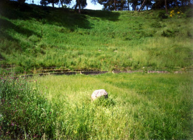 MEGALOPOLIS: The theater seats at Megalopolis disappearing in the grass. Catherine had ordinarily held "symposia" on classical Greek subjects there. Paul participated by talking about the Arcadian ideal in the arts.