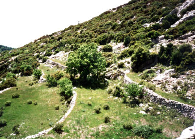 ARCADIA: Throughout the countryside there are numerous walls made of Greece's most abundant natural resource: rocks. They delineate tiny fields which through inheritance represent the many-times-repeated fragmentation of land holdings.