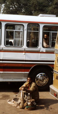 Snake "charmers" pull the fangs of their cobras and then drug them to slow their reflexes. This one was so groggy its owner had to hold it up while he played his been, or punji, traditional raucous reed instrument of snake charmers. We ended the day by shopping. I picked up recent anglophone Indian fiction and some comics depicting episodes from the life of Krishna, based on the Ramayana. In the evening Paula, Paul Smith and I attended a marvelous vocal concert by Prabhakan Karekar, singing traditional Hindustani ragas to tabla, two tamboura players, and a harmonium. One of the tamboura players sang echoes to his phrases in a haunting manner I had never encountered before. There was a small but appreciative audience in the Shakuntalam Theater at the Exhibition Fairgrounds built by Indira Gandhi. On our way to the concert, we encountered a gorgeous wedding party accompanied by musicians as it processed into a restaurant for a lavish reception.