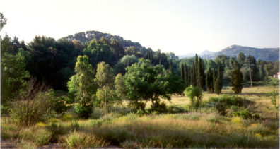 OLYMPIA: Finally we arrived in the thriving modern tourist town of Olympia, which has as high a concentration of tacky souvenirs as the Plaka in Athens. However, we discovered a fine little record and book shop at the end of the street which displayed this sign in its window: Pour ceux qui cherchent la Grece sans cliché ["For those who seek Greece without cliches"]. The owner conversed at length with us about the recordings of Byzantine and Classical music we had seen in Athens and opened packages to let us hear samples and study the documentation. He also offered us wine (the gold merchants of Olympia usually offer ouzo to promising customers). We rewarded him by spending heavily. It was a nice experience. Paul is wearing the new t-shirt Paula has just bought him, embroidered with the image from the 50-drachma coin: an ancient ship.