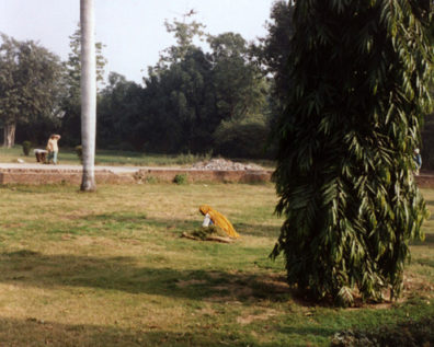 Women do all sorts of difficult jobs. This one is trimming the lawn in front of Humayan's tomb with a pair of hand shears.