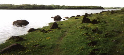 COOLE PARK: The tower was owned by Yeats' friend Lady Gregory, who lived nearby on her estate at Coole. Yeats wrote a famous poem about the swans on the lake there. Some gray swans were swimming on the far shore of the Coole Turlough when this photo was taken, but they're too distant to show up clearly. Yeats spent a good deal of time visiting here, and was in love with Lady Gregory, but she preferred to be his friend and ally in the Irish Literary Revival.