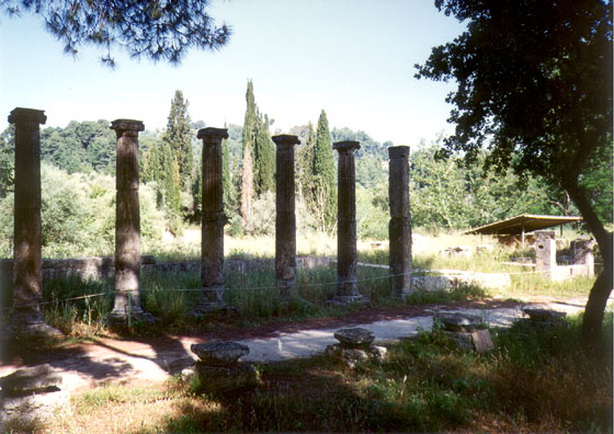 OLYMPIA: A row of columns against a row of cypresses.