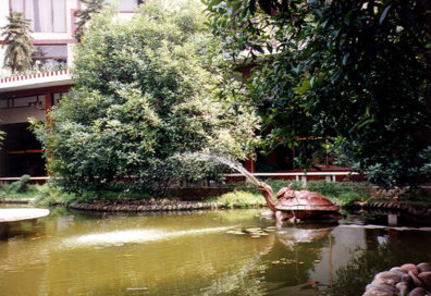LESHAN: Spouting turtle and her young in a cliff-top restaurant pool.