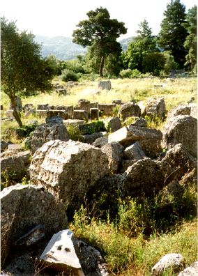 OLYMPIA: More Olympian ruins.