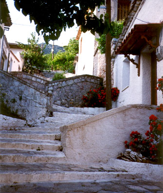 DELPHI: We wandered the residential section of Delphi and came on a mother teaching her small son and daughter traditional dancing. We also bought honey and a traditional white bedspread.