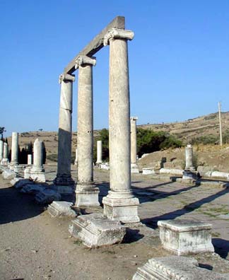 ASCLEPION: Details of the columns.
