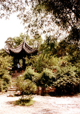 THREE SUS: More from the shrine