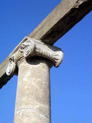 ASCLEPION: More columns.