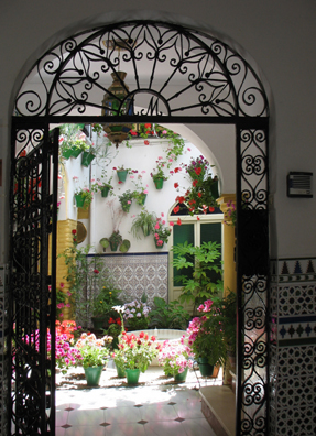 CORDOBA: One of several courtyards open for viewing during the annual city patio contest. Traditional Spanish houses follow the Roman/Moorish model of enclosed spaces around a central courtyard, usually featuring plants and a fountain or pool.