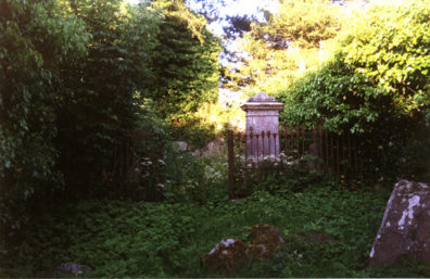 Brú na Bóinne: The overgrown cemetery had quintessentially romantic air about it.