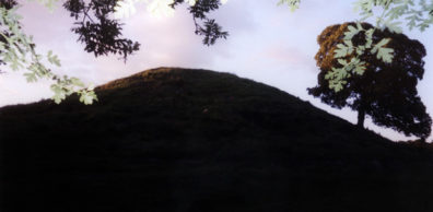 Brú na Bóinne: Dark was coming on fast when we finally spotted the mound next door--appropriately, since "Dowth" ("Dubhadh" in Irish) means "dark." It was badly damaged in the 19th century by amateur tomb-raiders in search of treasure, and looks from some angles like a stone quarry--which it was for a time. It is currently being scientifically excavated. It is 46 feet high and 206 feet in diameter. The flash from the camera did little to illuminate the mound, but lit up the overhanging leaves. From the top you could originally see both Knowth and Newgrange, but trees have grown up to obscure the view.