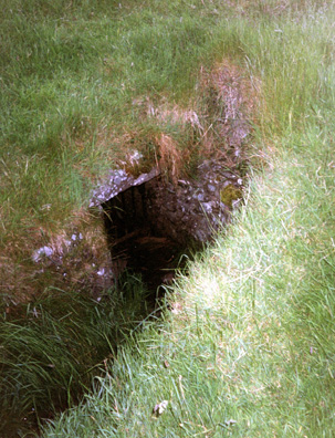 Brú na Bóinne: One of the entrances to the Dowth Mound, now locked up.