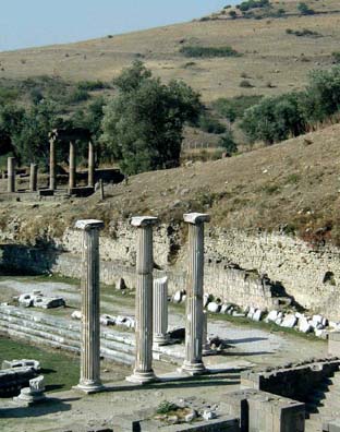 ASCLEPION: More columns