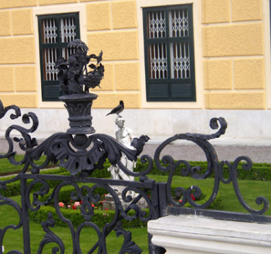 VIENNA: This bird had no respect for the garden's formality.