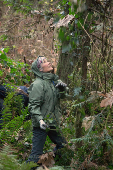 This was taken at a Bainbridge Island weeding party. She had just yanked ivy off this tree trunk and was watching it fall toward her.