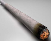 Marijuana Reform