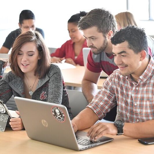 Students using laptops.