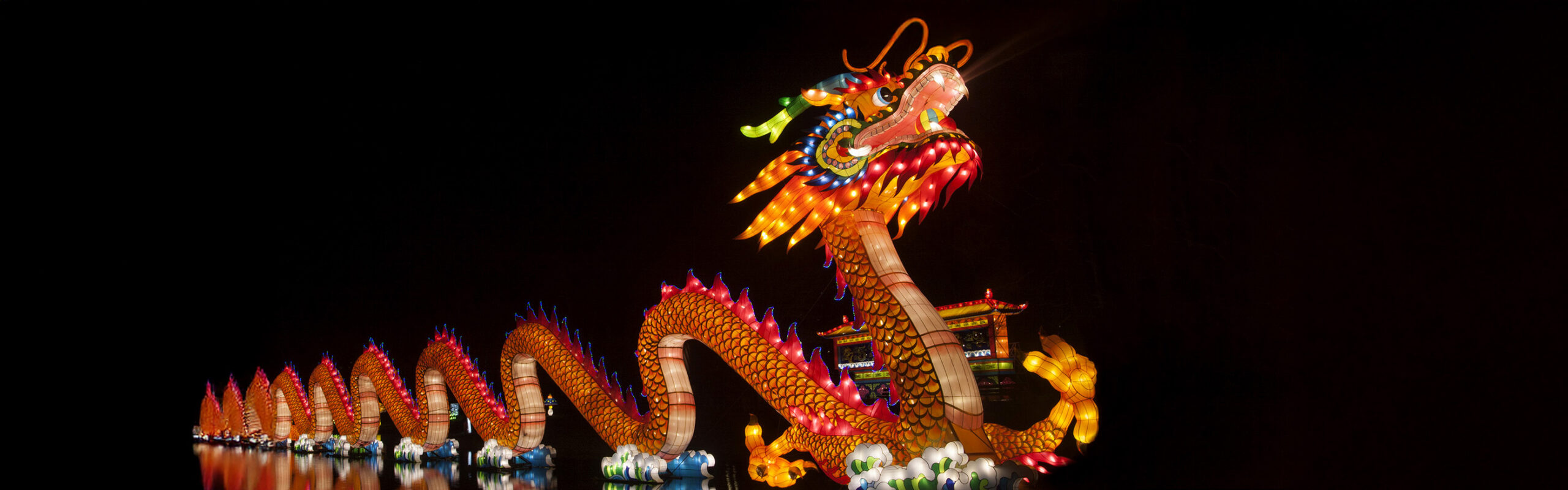 Illuminated Chinese dragon float.