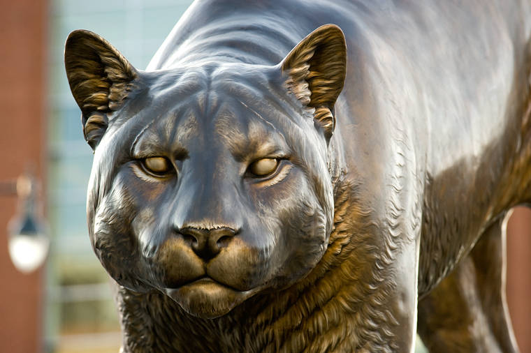 Cougar statue