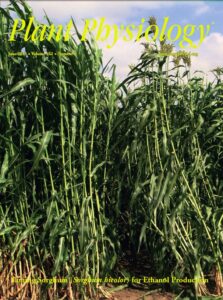 Journal cover: Plant Physiology.