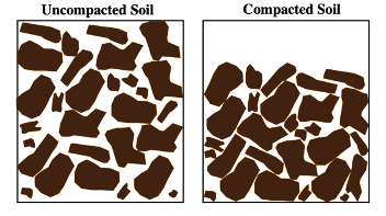 An infographic showing the difference between a compacted and non-compacted soil
