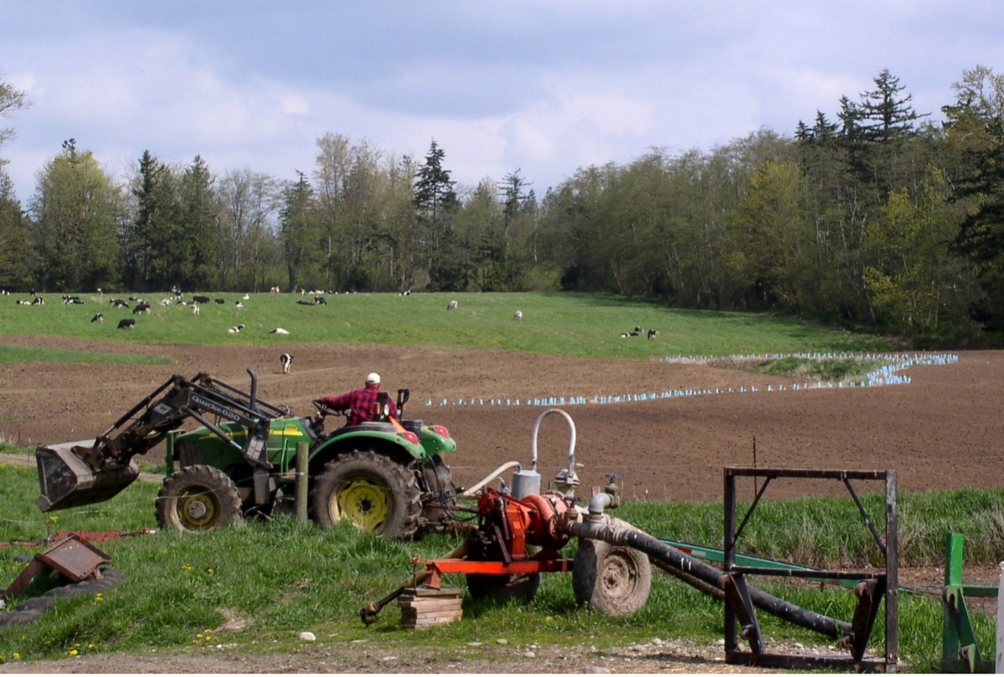 A tractor on a farm with animals in background