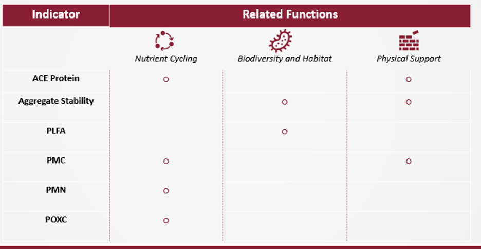 A table showing soil organic matter indicators and related soil functions.