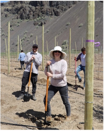 Researchers and technicians holding shovels and smiling while planting trees. 