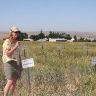 Kim-Campbell--198x198