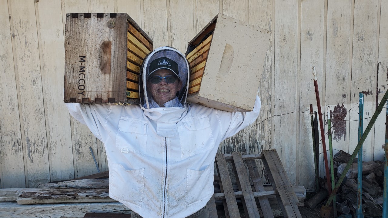 Person holding empty hive boxes on their shoulders
