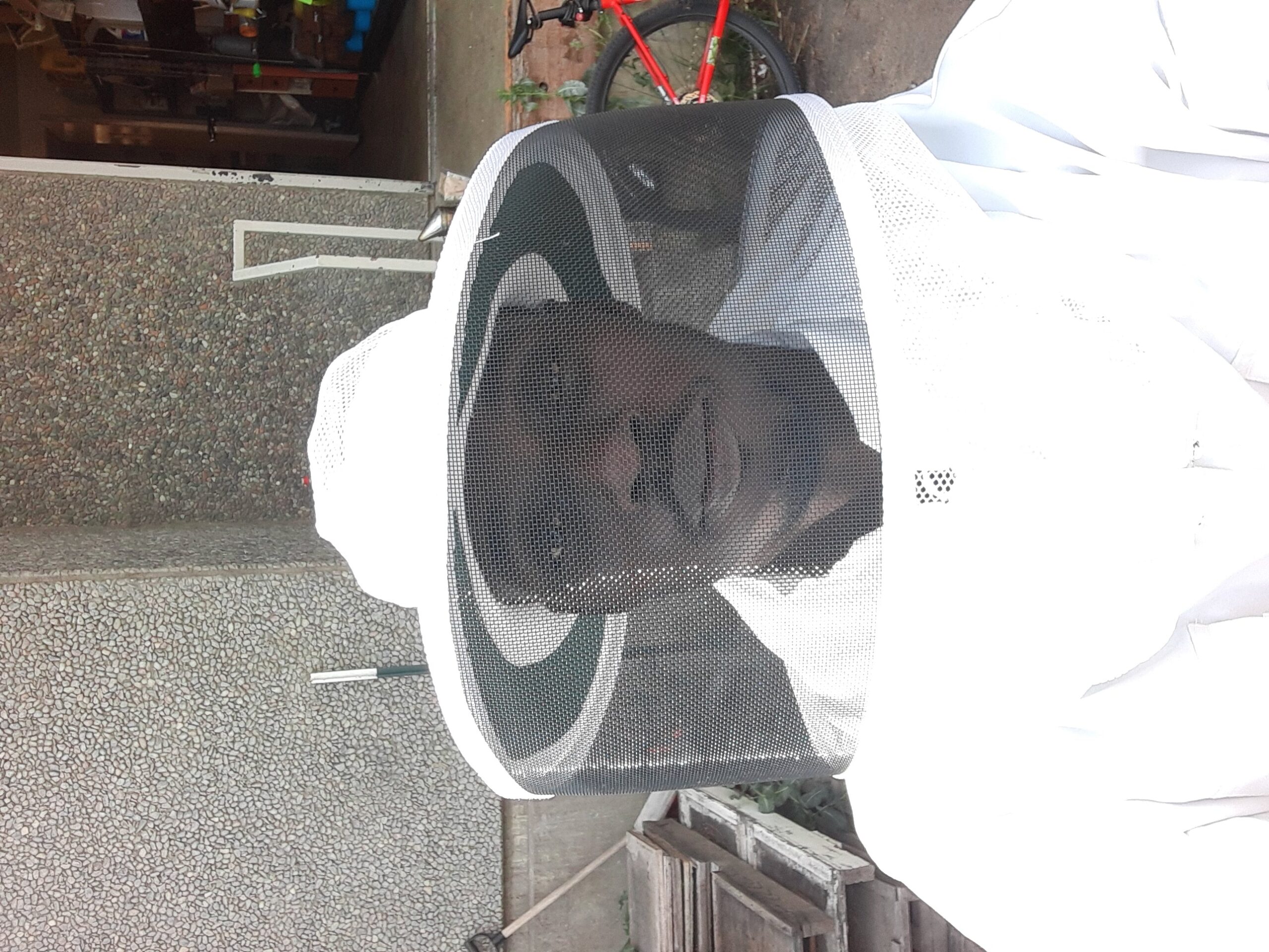 Photo of Igbagbolere David