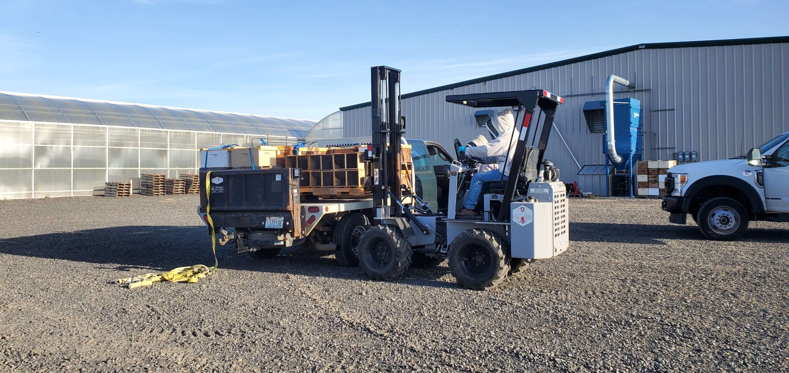 Beekeeper driving forklift with bee packages on it
