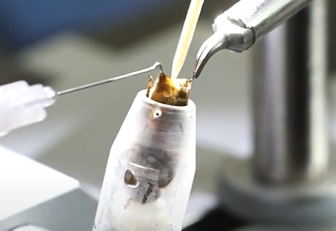 Honey bee queen being instrumentally inseminated (I.I.)