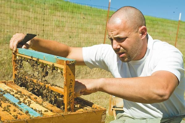 Brandon Hopkins looking at cell builder frame