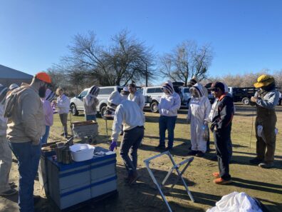 group of beekeepers at the almond orchards in california