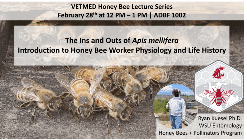 Title slide of presentation Dr. Ryan Kuesel gave to veterinarians