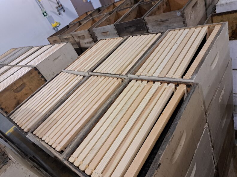 honey bee boxes with new frames