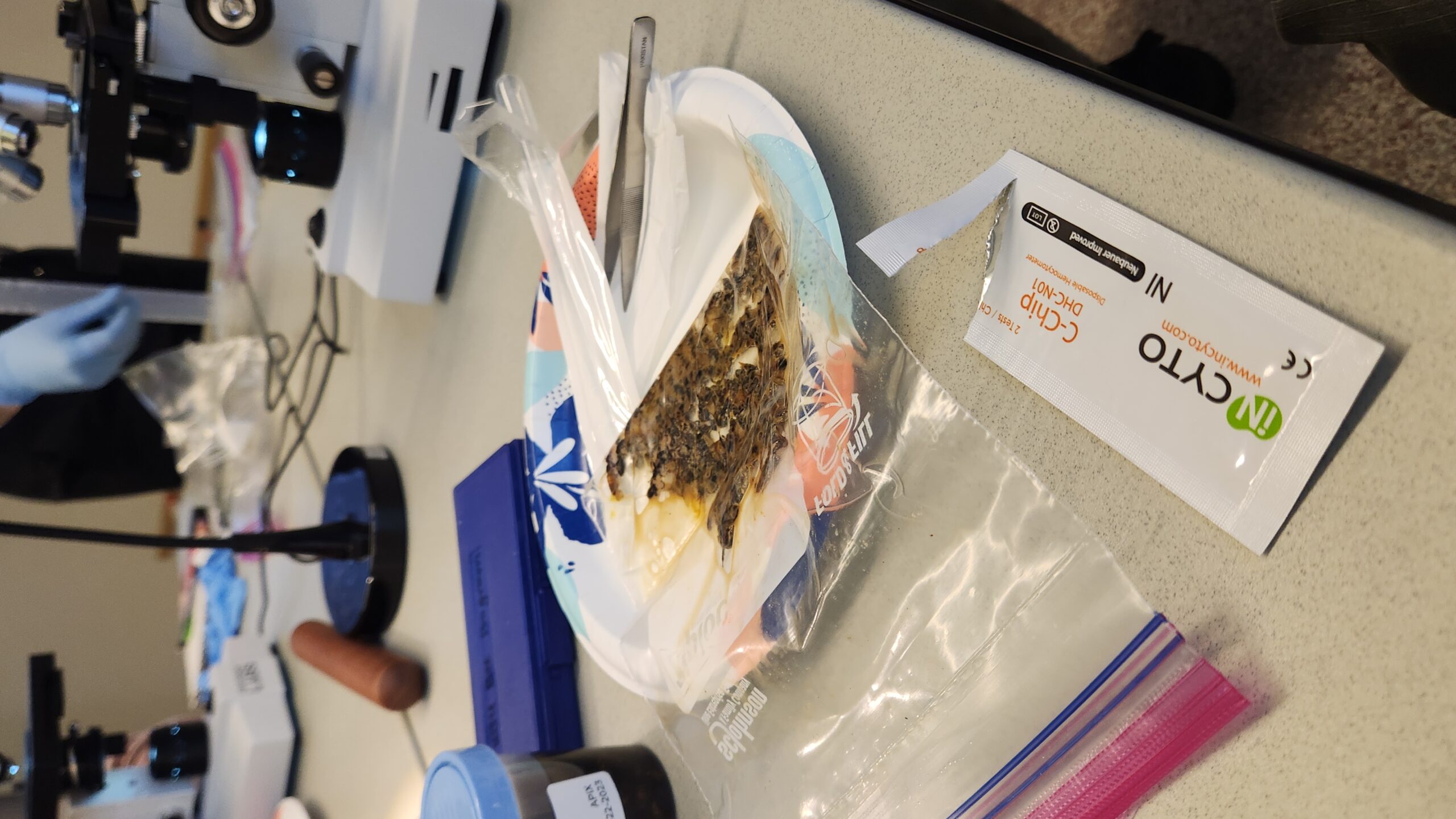 crushed bees in ziploc bag