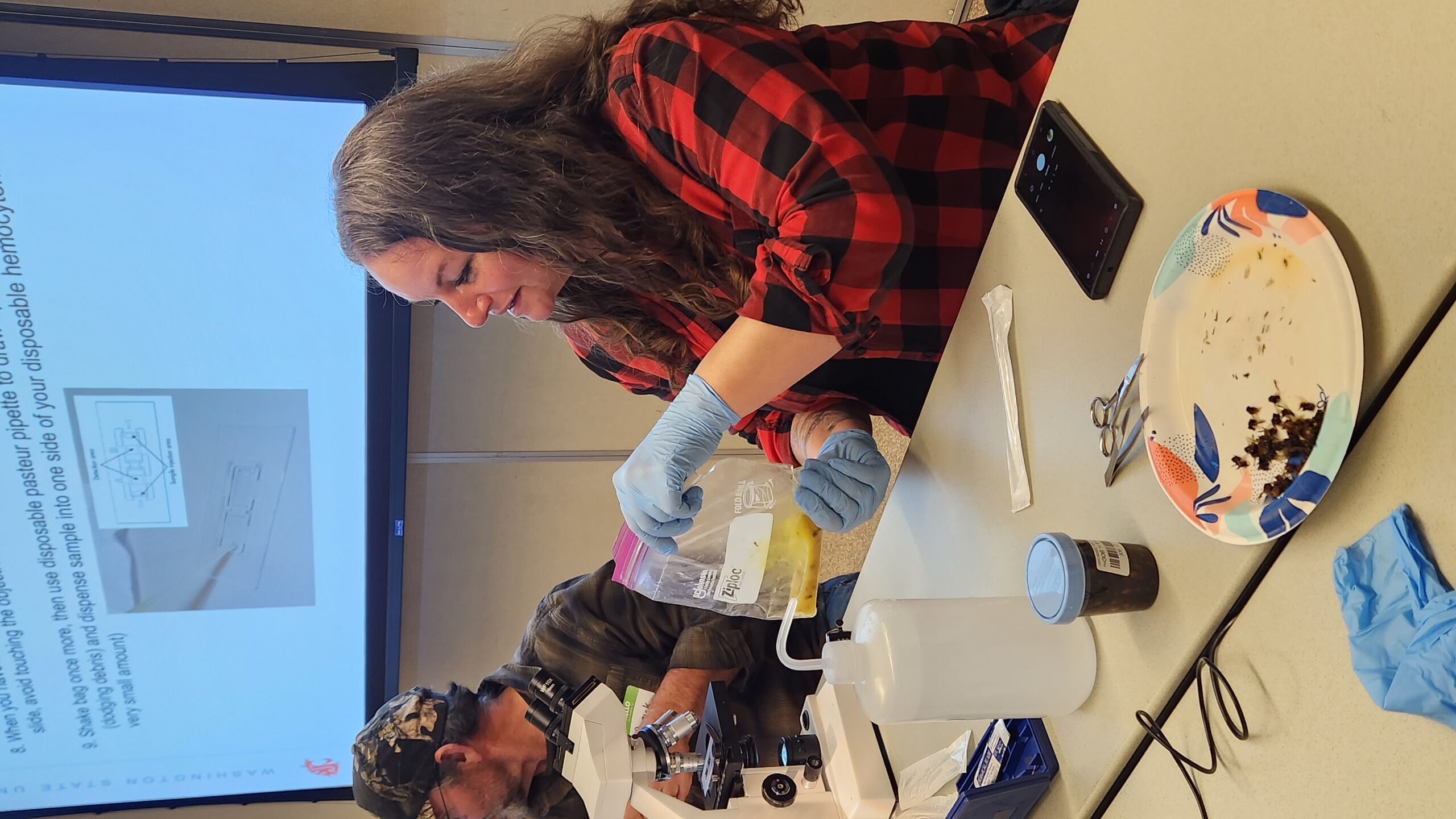 beekeeper holding bag of water and macerated honey bee abdomens 