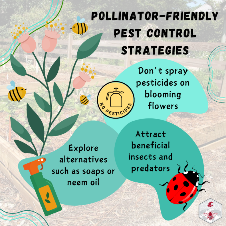 infographic about pollinator-friendly pest control strategies
