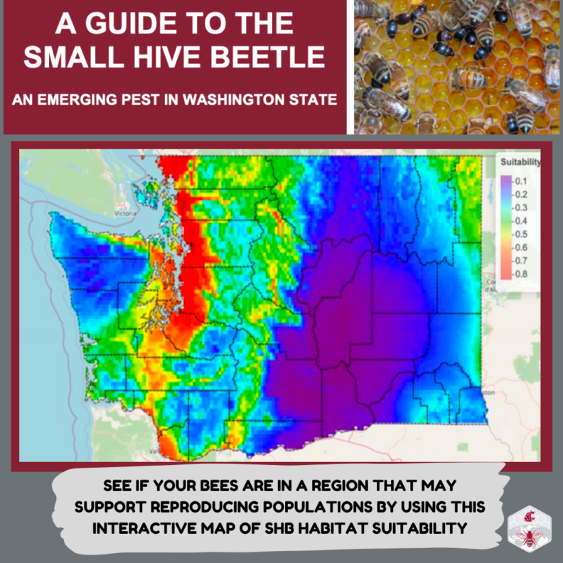 advertisement for small hive beetle factsheet including map of habitat suitability that is found in the publication