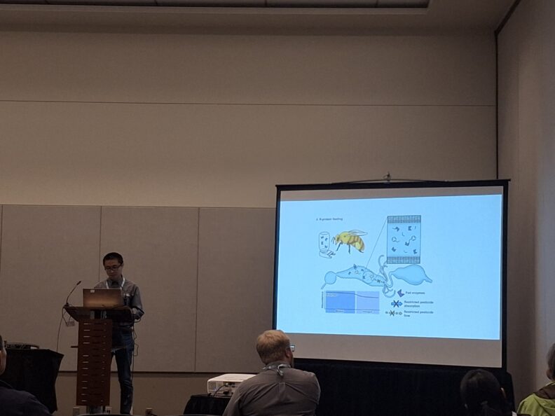 Ge at podium speaking about research