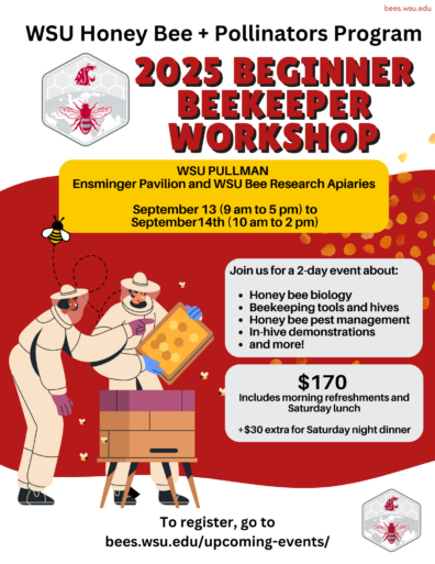 decorative flyer for event