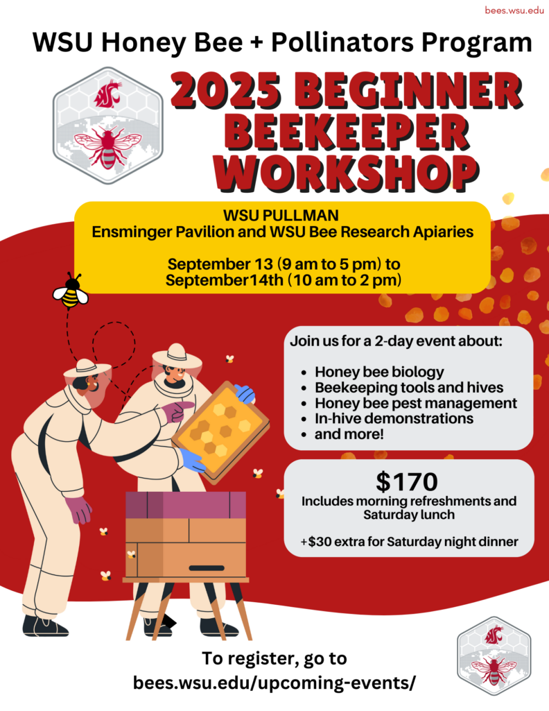 decorative flyer for event