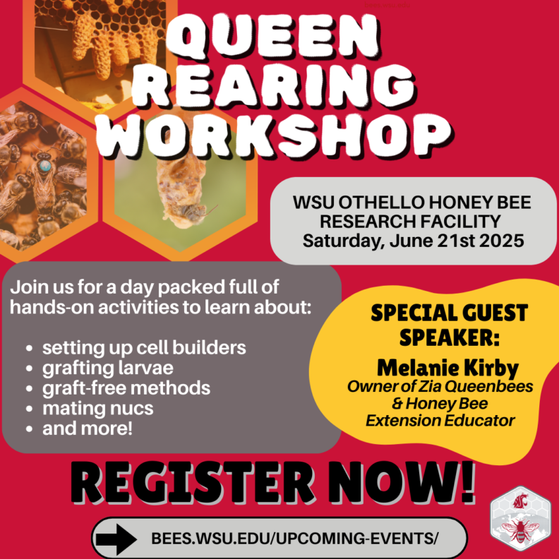 advertisement for queen rearing workshop [decorative]